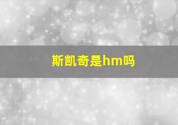 斯凯奇是hm吗