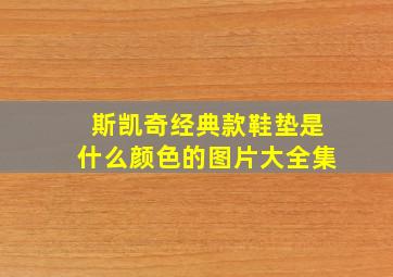 斯凯奇经典款鞋垫是什么颜色的图片大全集