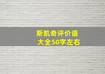 斯凯奇评价语大全50字左右