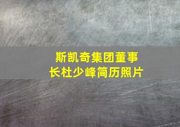 斯凯奇集团董事长杜少峰简历照片