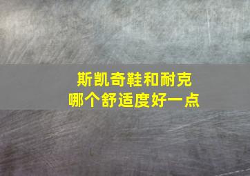 斯凯奇鞋和耐克哪个舒适度好一点