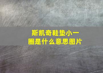 斯凯奇鞋垫小一圈是什么意思图片