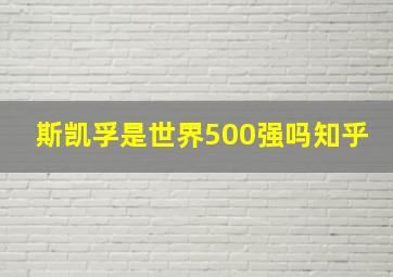 斯凯孚是世界500强吗知乎