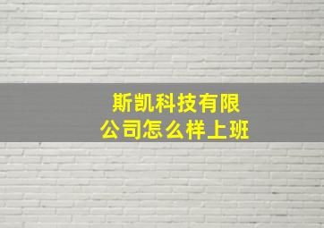 斯凯科技有限公司怎么样上班