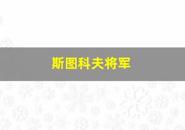 斯图科夫将军