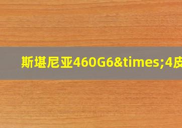 斯堪尼亚460G6×4皮肤