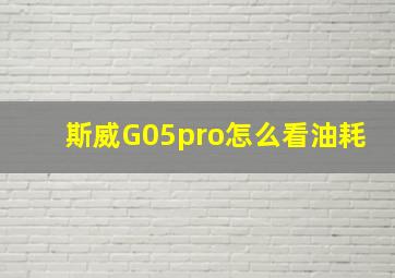 斯威G05pro怎么看油耗