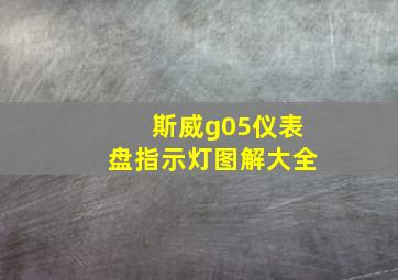 斯威g05仪表盘指示灯图解大全