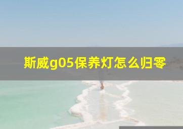 斯威g05保养灯怎么归零