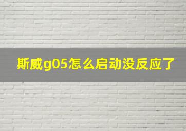 斯威g05怎么启动没反应了