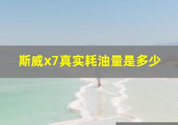 斯威x7真实耗油量是多少