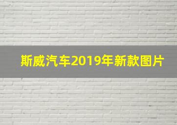 斯威汽车2019年新款图片