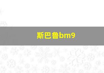 斯巴鲁bm9