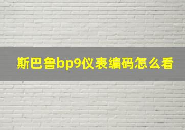 斯巴鲁bp9仪表编码怎么看