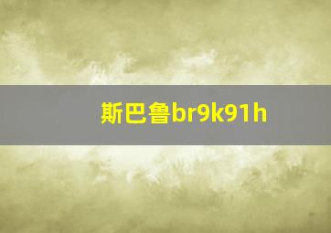 斯巴鲁br9k91h