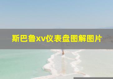 斯巴鲁xv仪表盘图解图片