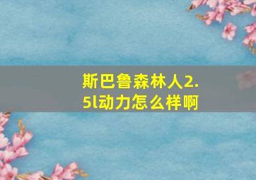 斯巴鲁森林人2.5l动力怎么样啊