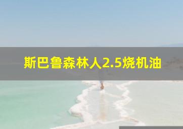 斯巴鲁森林人2.5烧机油