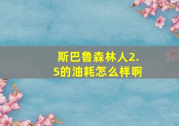 斯巴鲁森林人2.5的油耗怎么样啊