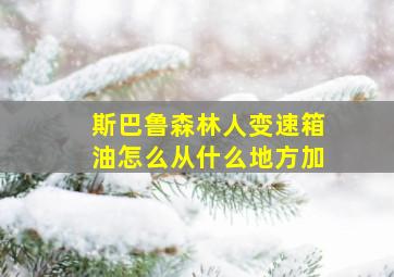 斯巴鲁森林人变速箱油怎么从什么地方加