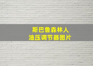 斯巴鲁森林人油压调节器图片