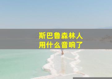 斯巴鲁森林人用什么音响了