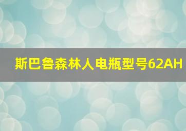 斯巴鲁森林人电瓶型号62AH