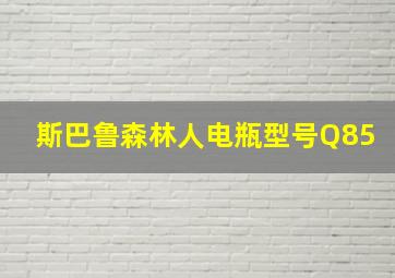 斯巴鲁森林人电瓶型号Q85