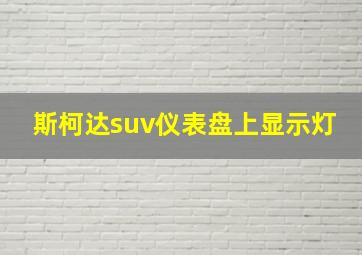 斯柯达suv仪表盘上显示灯