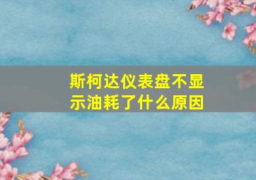 斯柯达仪表盘不显示油耗了什么原因