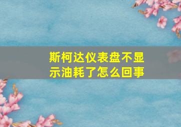 斯柯达仪表盘不显示油耗了怎么回事