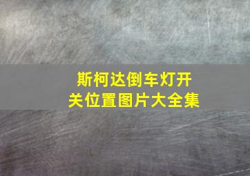 斯柯达倒车灯开关位置图片大全集