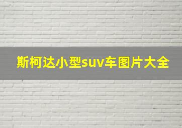 斯柯达小型suv车图片大全