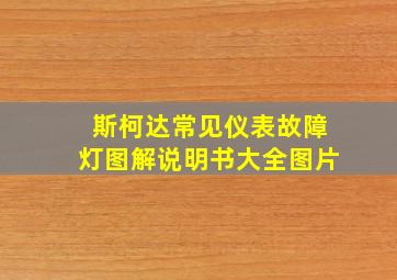 斯柯达常见仪表故障灯图解说明书大全图片