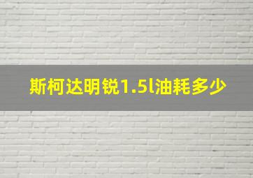 斯柯达明锐1.5l油耗多少