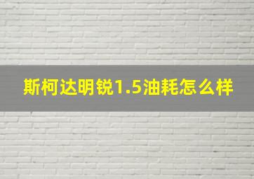 斯柯达明锐1.5油耗怎么样