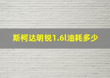 斯柯达明锐1.6l油耗多少