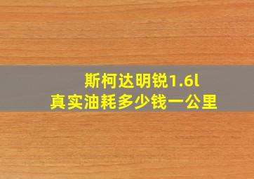 斯柯达明锐1.6l真实油耗多少钱一公里