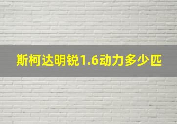 斯柯达明锐1.6动力多少匹