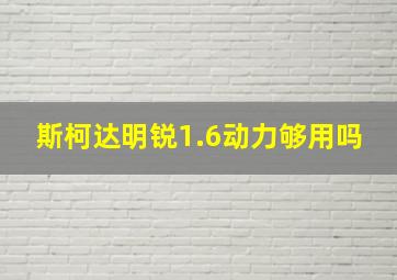 斯柯达明锐1.6动力够用吗