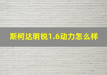 斯柯达明锐1.6动力怎么样