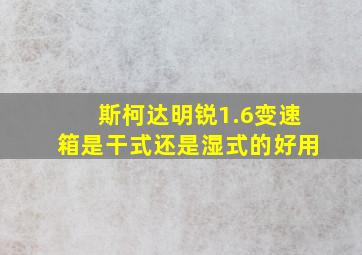 斯柯达明锐1.6变速箱是干式还是湿式的好用