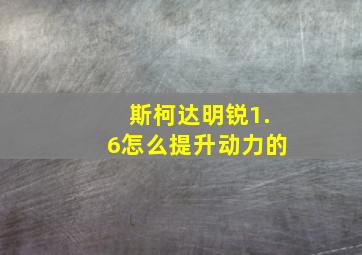 斯柯达明锐1.6怎么提升动力的