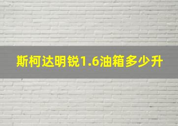 斯柯达明锐1.6油箱多少升