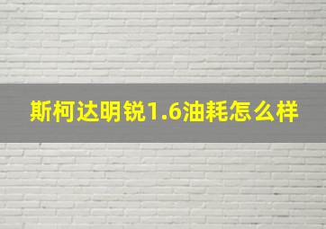 斯柯达明锐1.6油耗怎么样