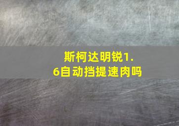 斯柯达明锐1.6自动挡提速肉吗