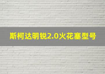 斯柯达明锐2.0火花塞型号