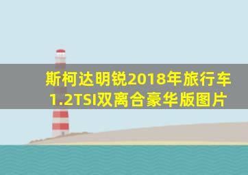 斯柯达明锐2018年旅行车1.2TSI双离合豪华版图片