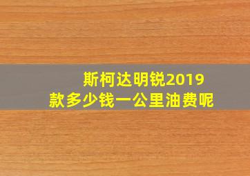 斯柯达明锐2019款多少钱一公里油费呢