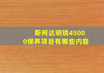 斯柯达明锐45000保养项目有哪些内容